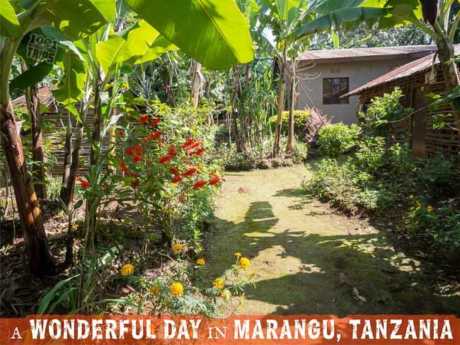 A Wonderful Day in Marangu, Tanzania