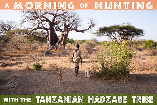 A Morning of Hunting with the Tanzanian Hadzabe Tribe