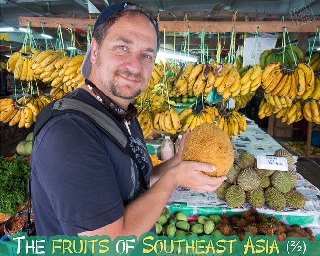 The fruits of Southeast Asia (2/2)