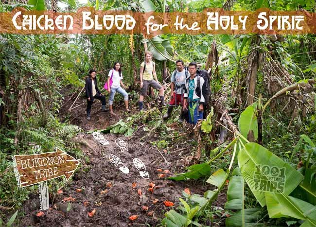Chicken Blood for the Holy Spirit: Our Stay with the Bukidnon Tribe, Philippines