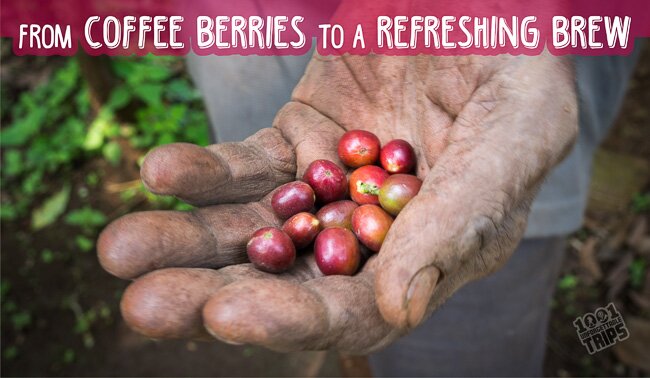 Photo Essay: From Coffee Berries to a Refreshing Brew