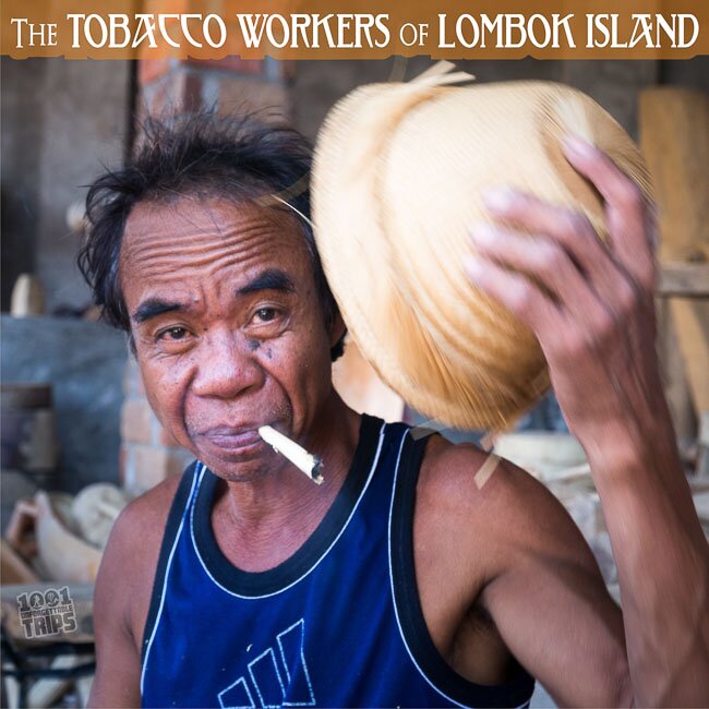 Photo Essay: The Tobacco Workers of Lombok Island