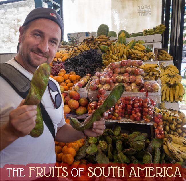The fruits of South America